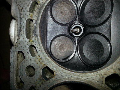 20141002_121005.jpg (3.95 Mio) Consulté 7410 fois 20141002_121005.jpg